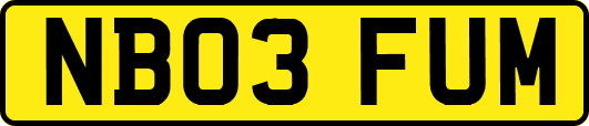 NB03FUM