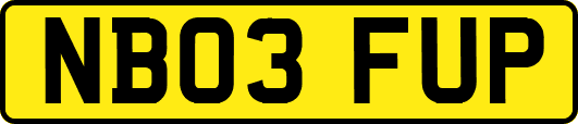 NB03FUP