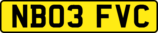 NB03FVC