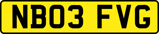 NB03FVG