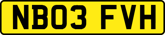 NB03FVH