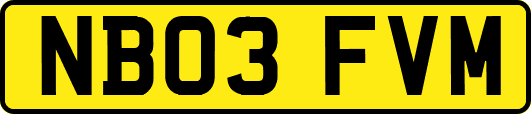 NB03FVM