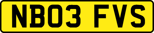 NB03FVS