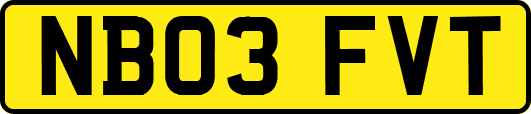 NB03FVT