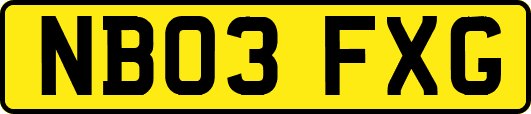 NB03FXG