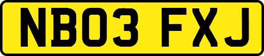 NB03FXJ
