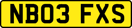 NB03FXS