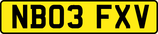 NB03FXV