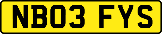 NB03FYS