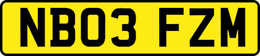 NB03FZM