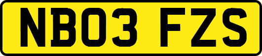 NB03FZS
