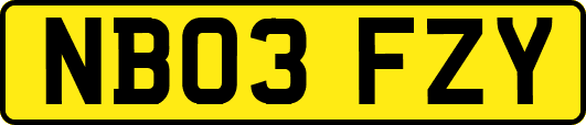 NB03FZY