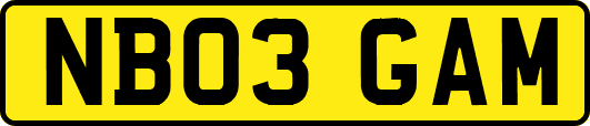 NB03GAM