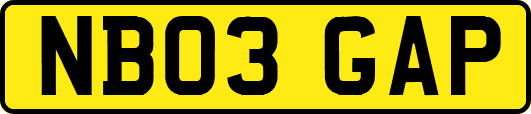 NB03GAP