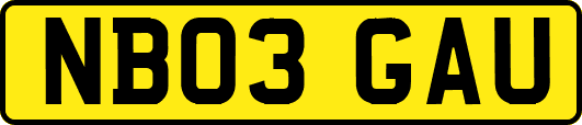 NB03GAU