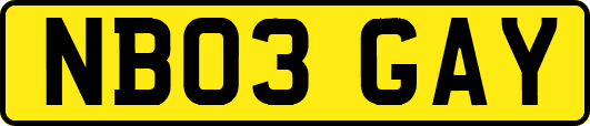 NB03GAY