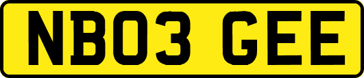 NB03GEE