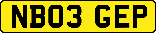 NB03GEP