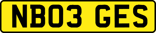 NB03GES
