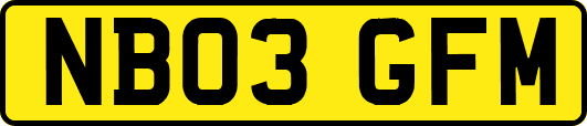 NB03GFM