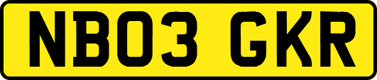NB03GKR