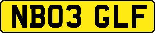 NB03GLF