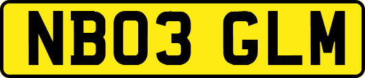 NB03GLM