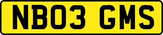 NB03GMS