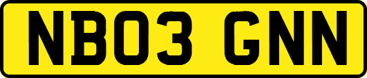 NB03GNN
