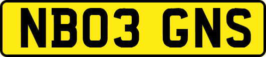 NB03GNS