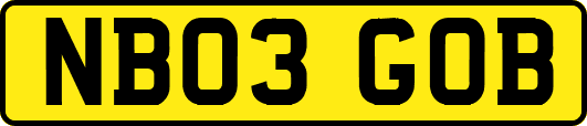 NB03GOB