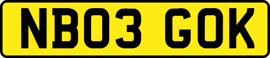 NB03GOK