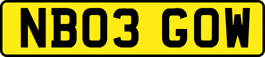 NB03GOW