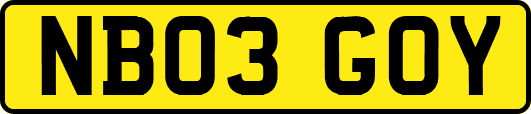 NB03GOY