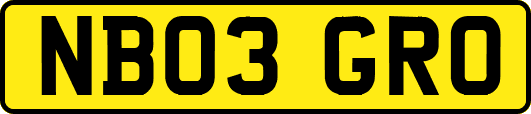 NB03GRO