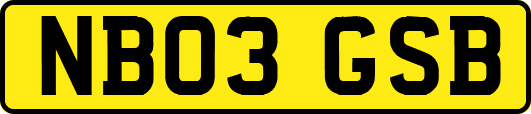 NB03GSB