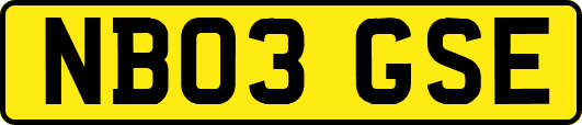 NB03GSE