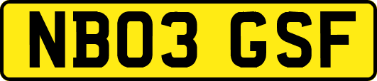 NB03GSF