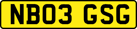 NB03GSG