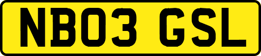 NB03GSL
