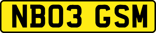NB03GSM