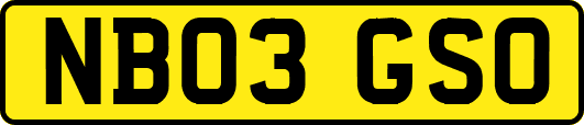 NB03GSO