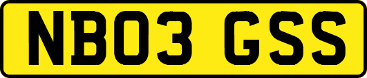 NB03GSS