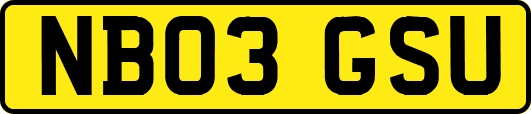 NB03GSU