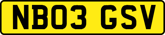 NB03GSV