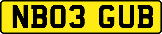 NB03GUB