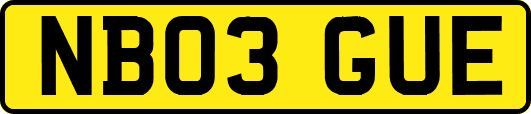 NB03GUE