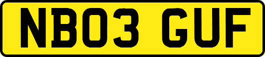 NB03GUF
