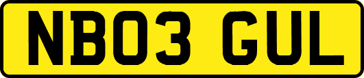 NB03GUL