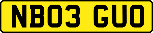 NB03GUO